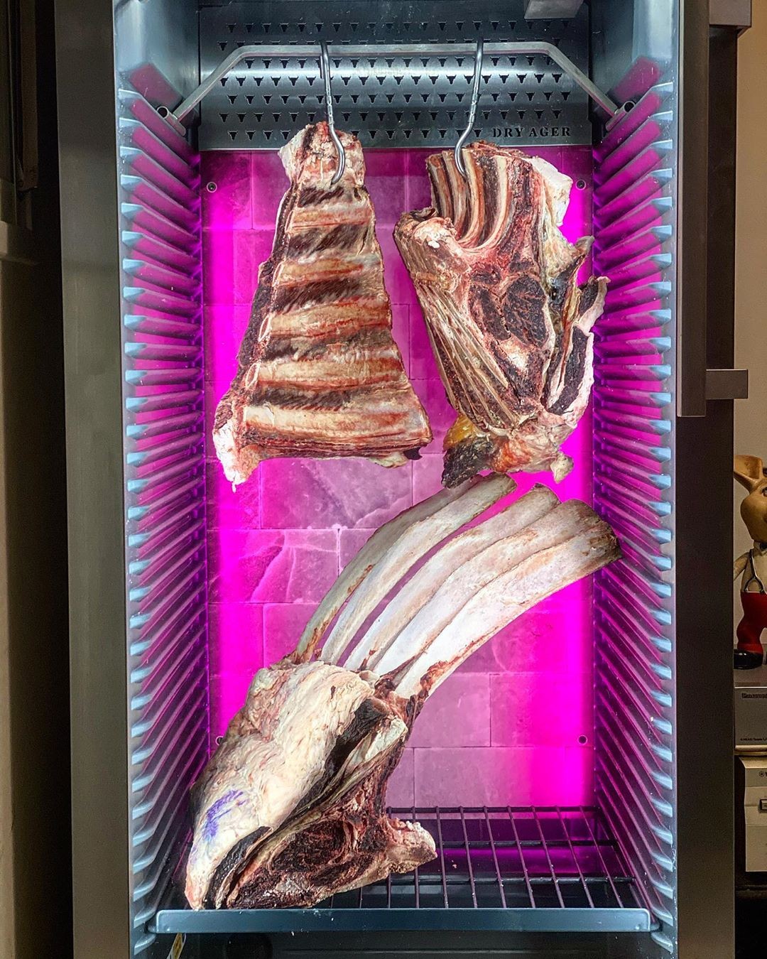 Buy Wholesale China 98l Dry Age Meat Machine & Dry Age Meat